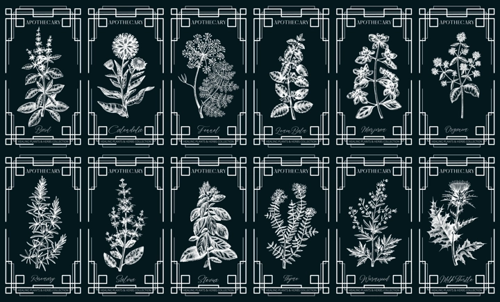 Art deco apothecary labels set. Healing plants, medicinal herbs sketches. Vintage frame design templates on chalkboard. NOT AI generated